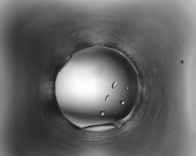 X0000088711156200706071554
