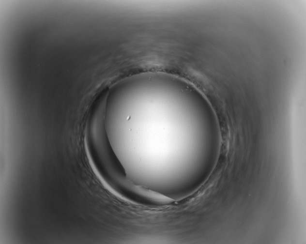 X0000088711157200706071554