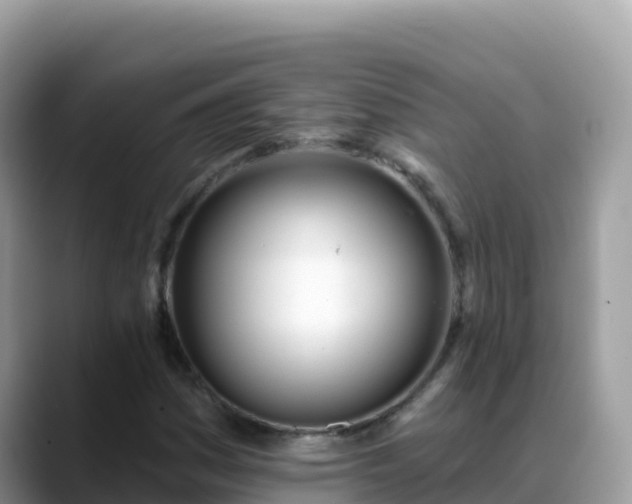 X0000088711161200706071554