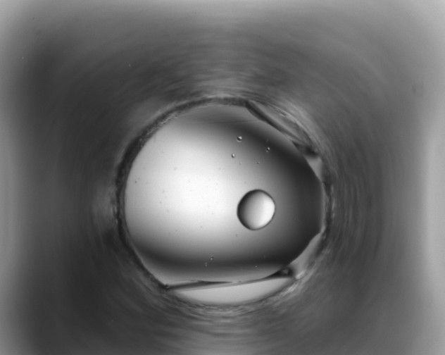 X0000088711164200706071554