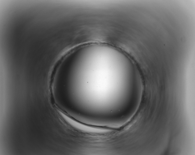 X0000088711168200706071554