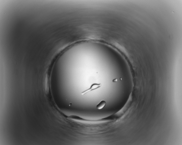 X0000088711171200706071554