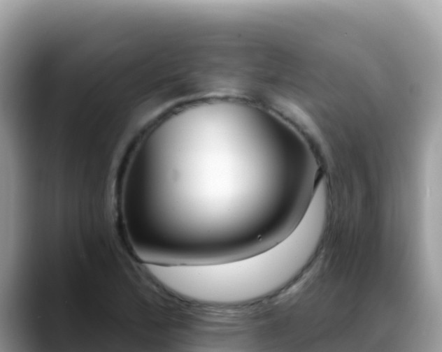 X0000088711172200706071554