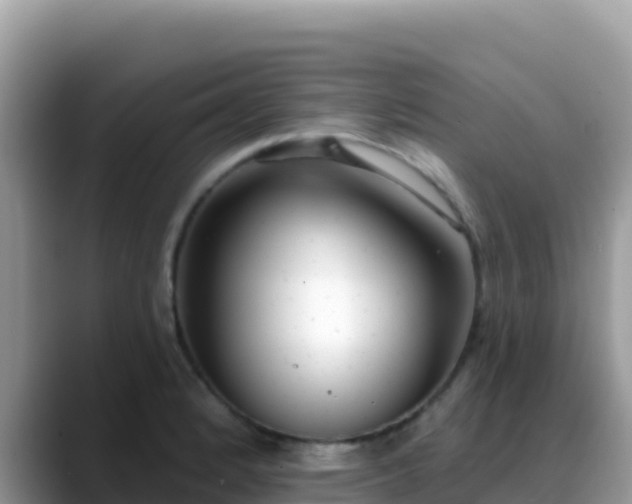 X0000088711184200706071554