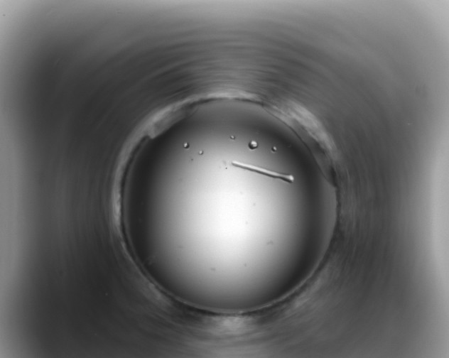 X0000088711188200706071553
