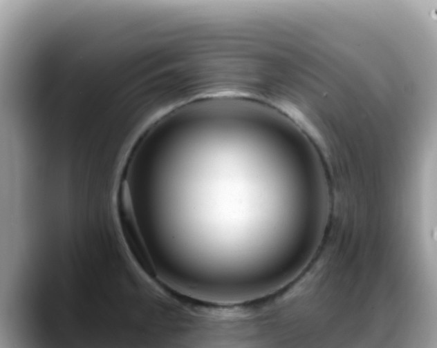 X0000088711189200706071553