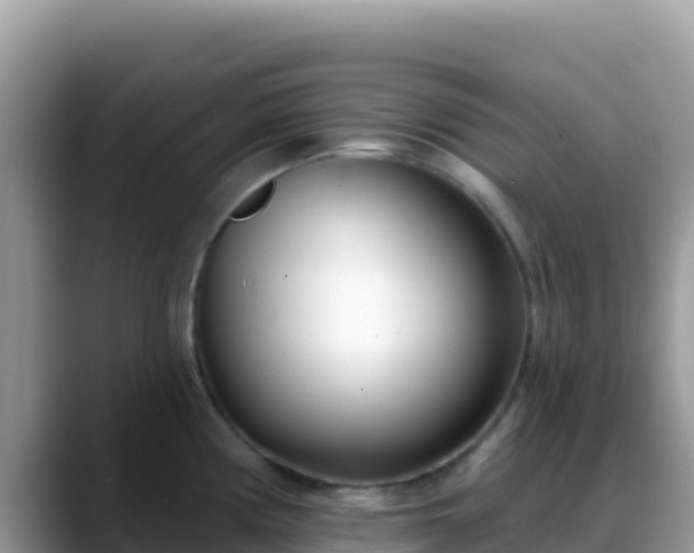 X0000088711194200706071553