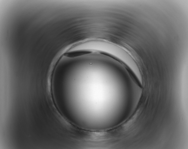 X0000088711196200706071553