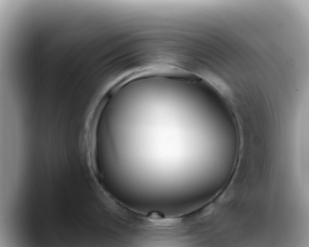 X0000088711200200706071553