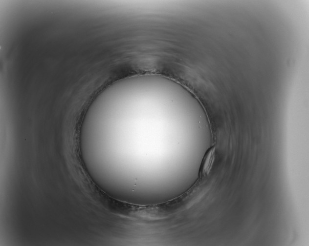 X0000088711201200706071553