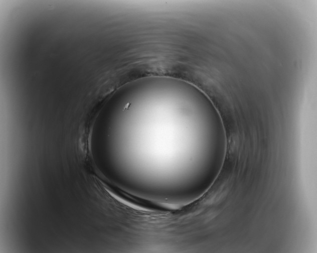 X0000088711202200706071553