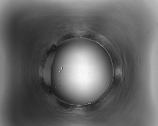 X0000088711204200706071553
