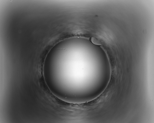 X0000088711205200706071553