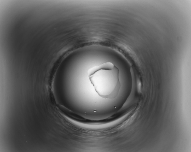 X0000088711210200706071553