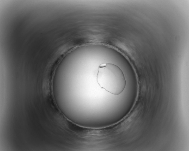X0000088711211200706071553