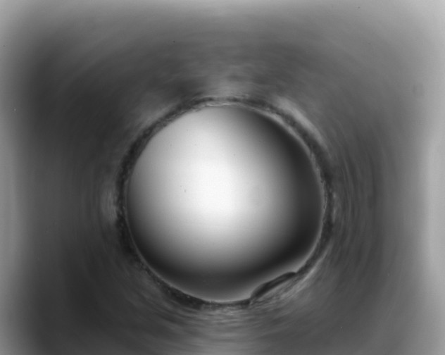 X0000088711213200706071553
