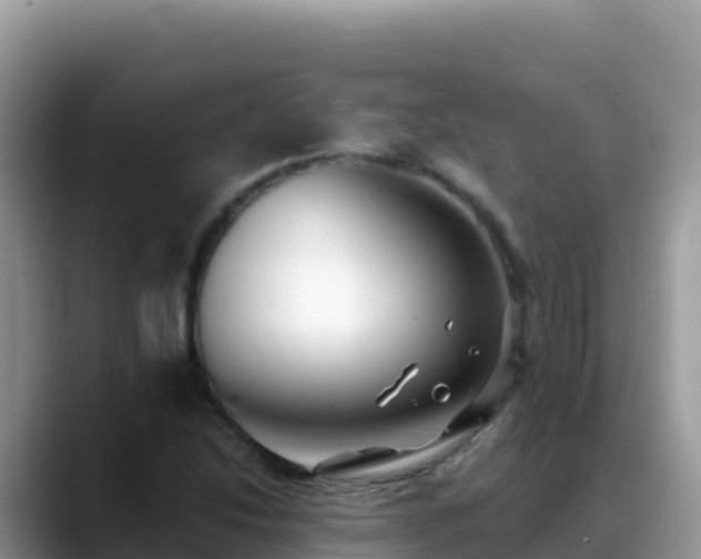X0000088711214200706071553