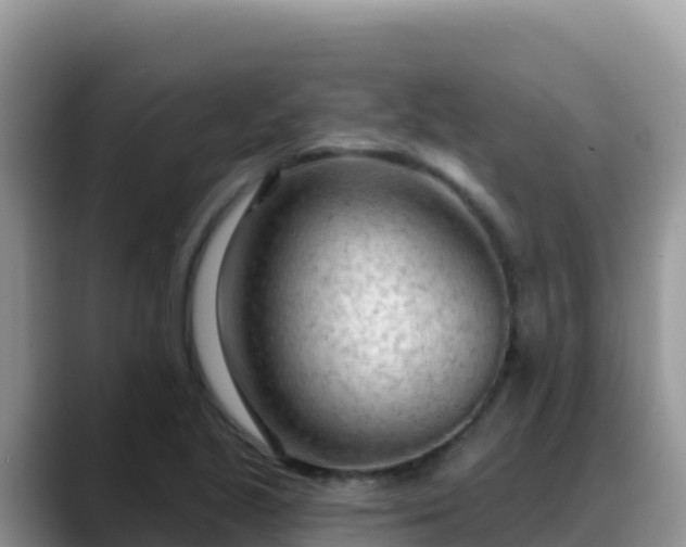 X0000088711221200706071553