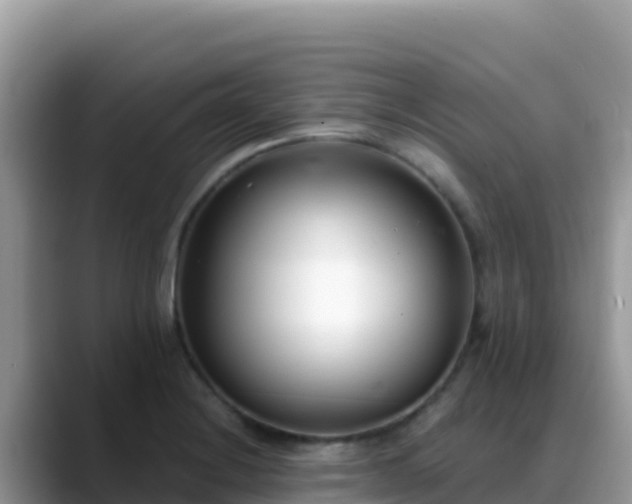 X0000088711228200706071553