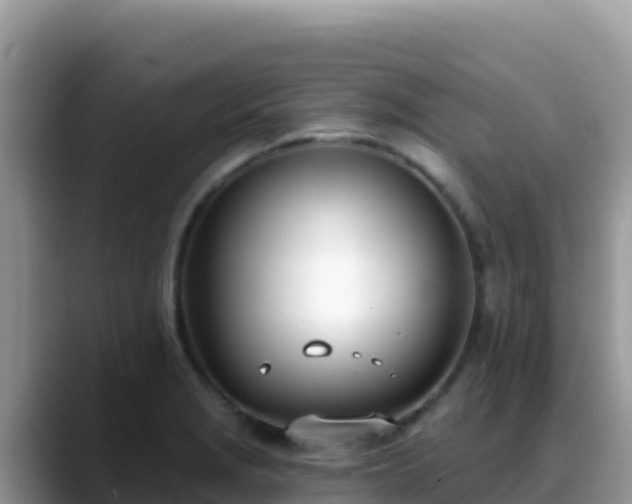 X0000088711229200706071553
