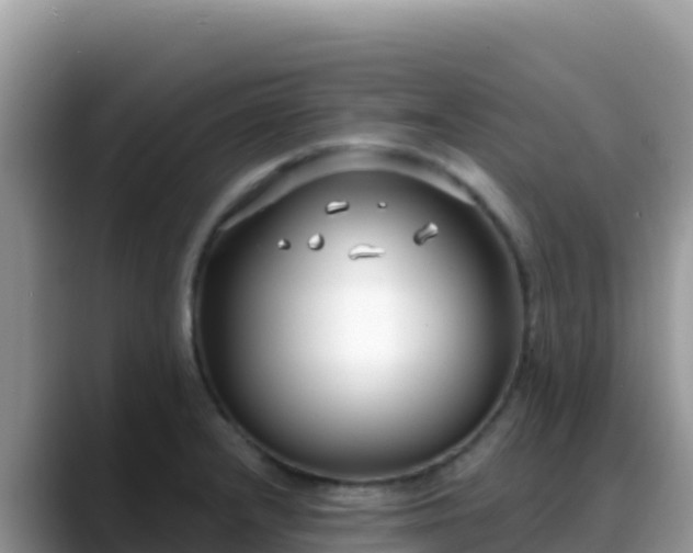 X0000088711232200706071553