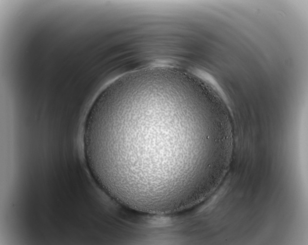 X0000088711235200706071553