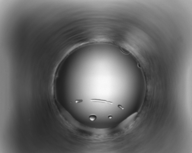 X0000088711236200706071553
