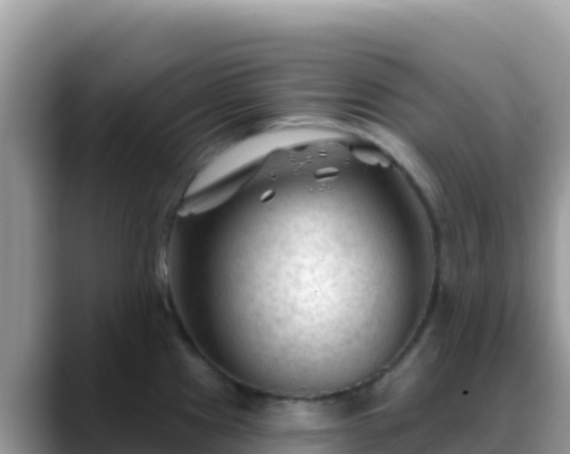 X0000088711241200706071553