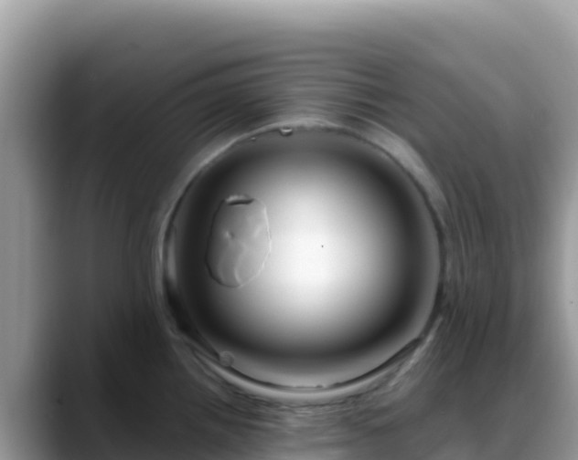 X0000088711242200706071553