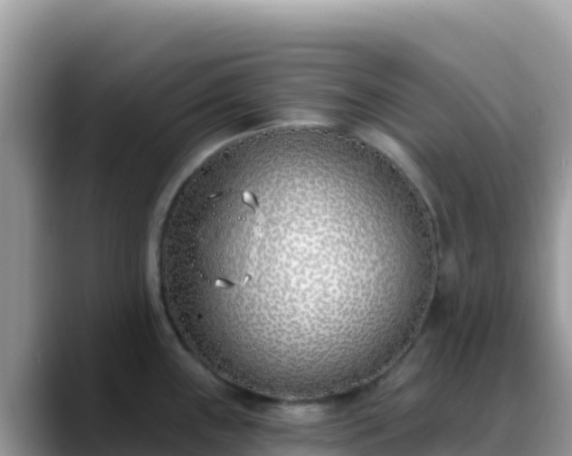 X0000088711243200706071553