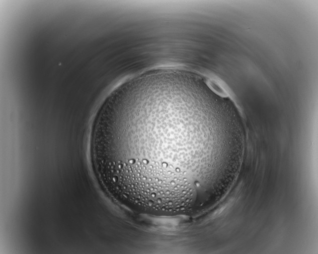X0000088711245200706071553
