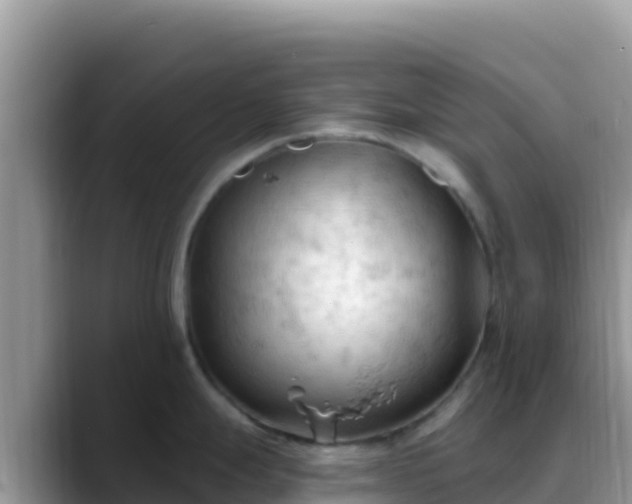X0000088711247200706071553