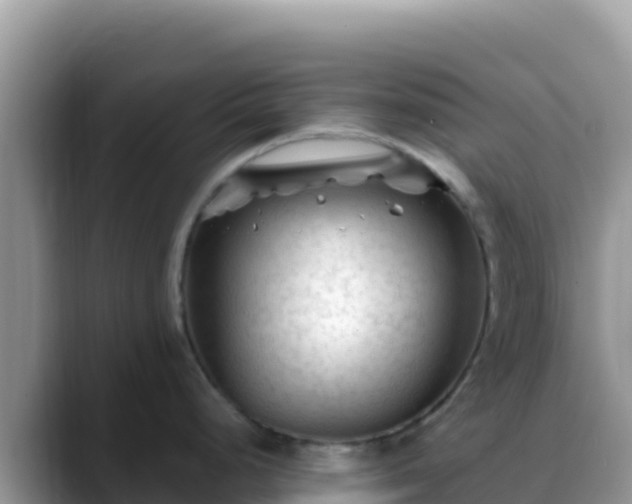 X0000088711248200706071553