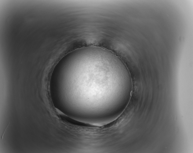 X0000088711249200706071553