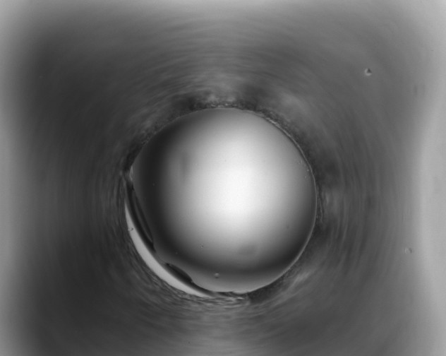 X0000088711250200706071553