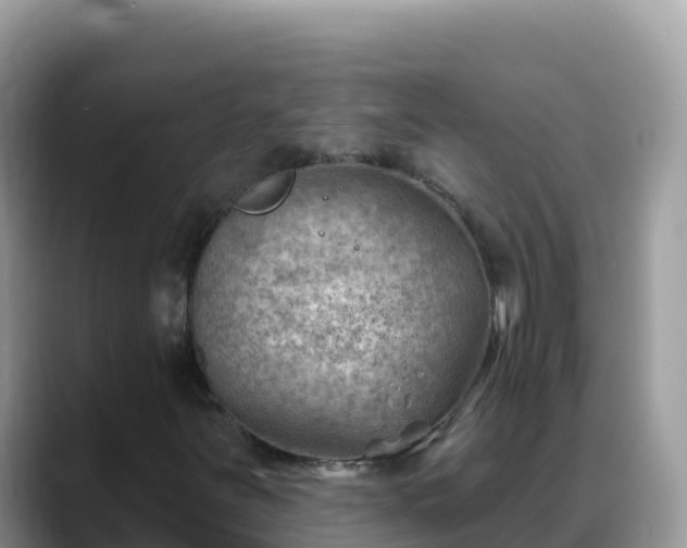 X0000088711251200706071553