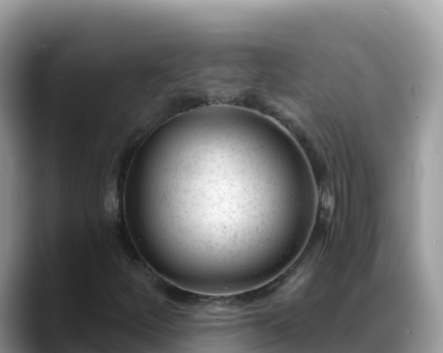 X0000088711252200706071553