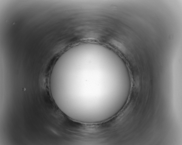 X0000088711258200706071553