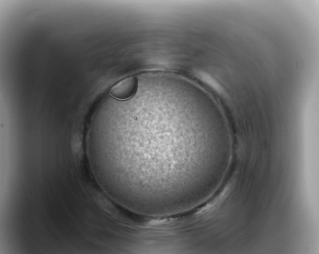X0000088711259200706071553