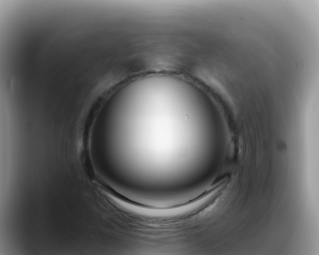 X0000088711261200706071553