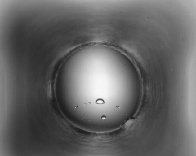 X0000088711262200706071553