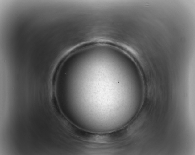X0000088711271200706071552
