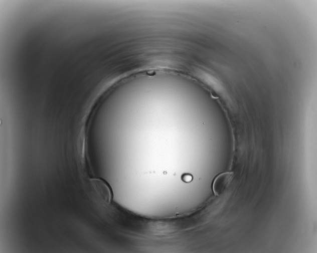 X0000088711275200706071552