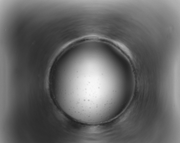 X0000088711279200706071552