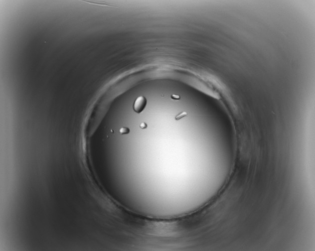 X0000088711280200706071552