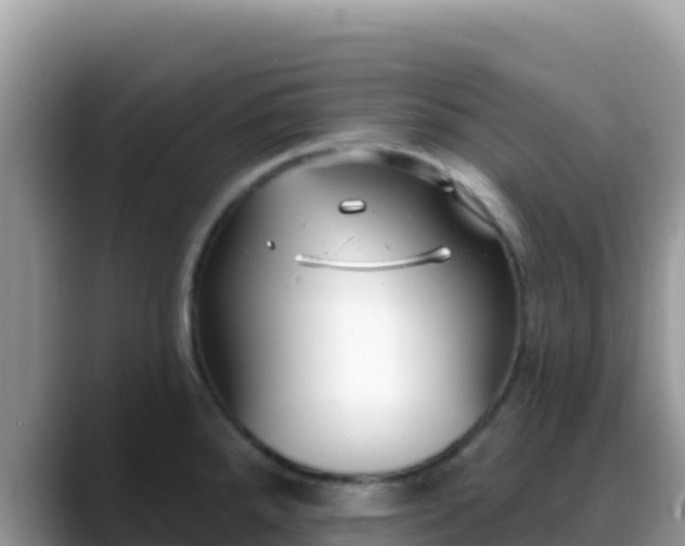 X0000088711288200706071552