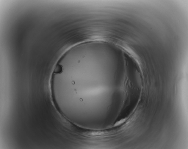 X0000088711291200706071552
