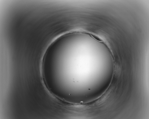 X0000088711295200706071552