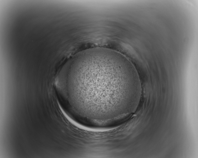 X0000088711298200706071551