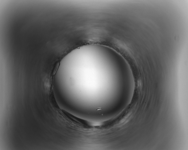 X0000088711300200706071551